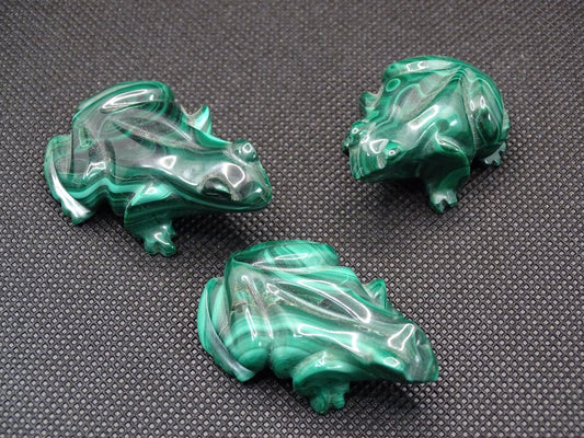 Animaux Malachite Grenouille - Pierres - Colibri Minéraux et Bien-être