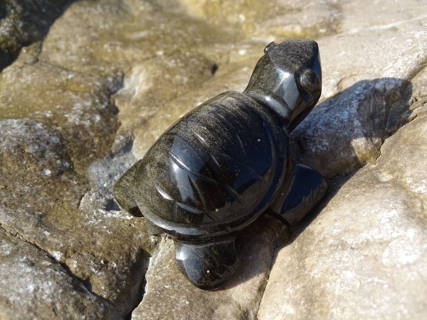 Animaux Obsidienne Dorée Tortue - Pierres - Colibri Minéraux et Bien-être