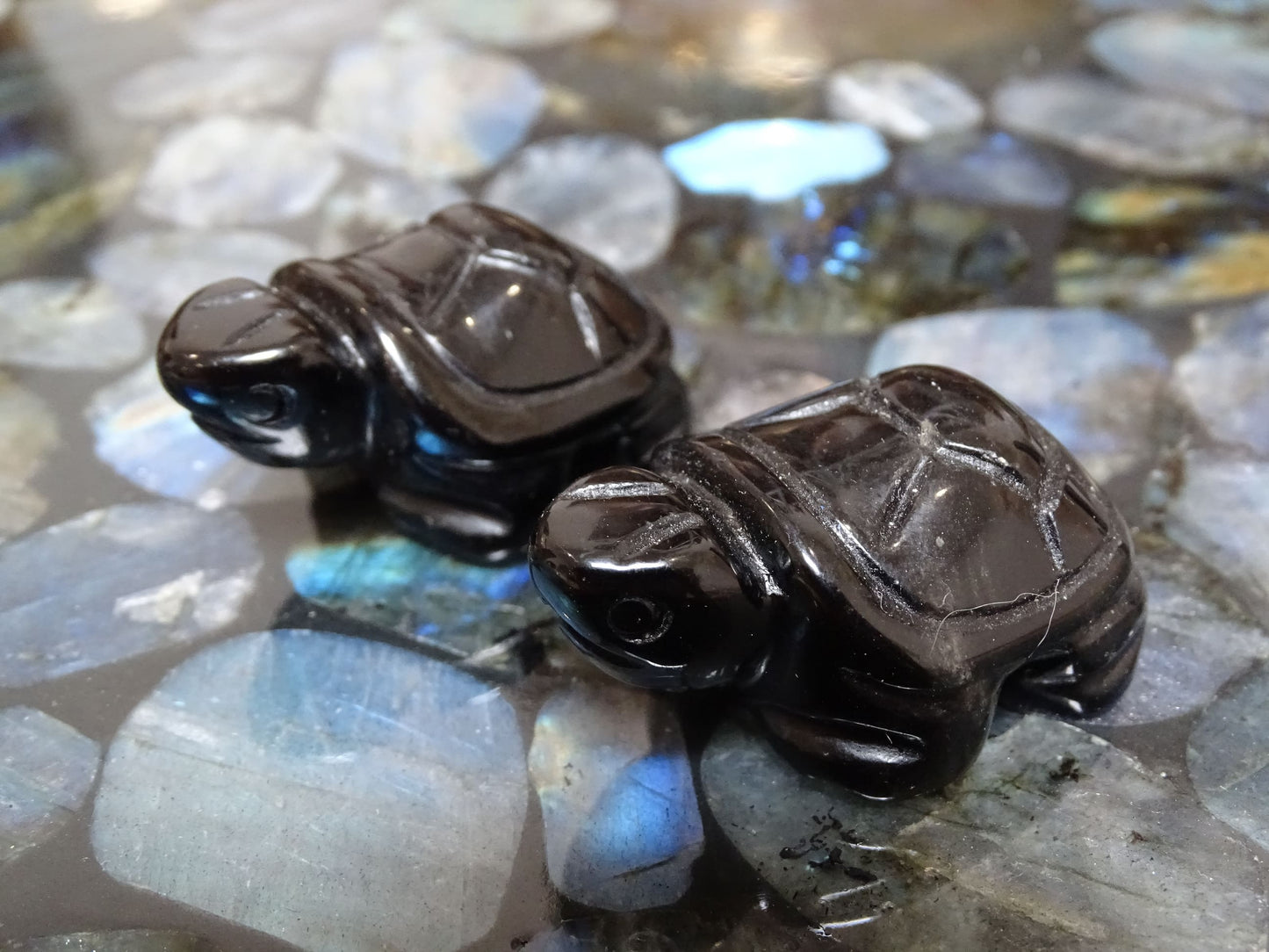 Animaux Obsidienne Noire Tortue - Pierres - Colibri Minéraux et Bien-être