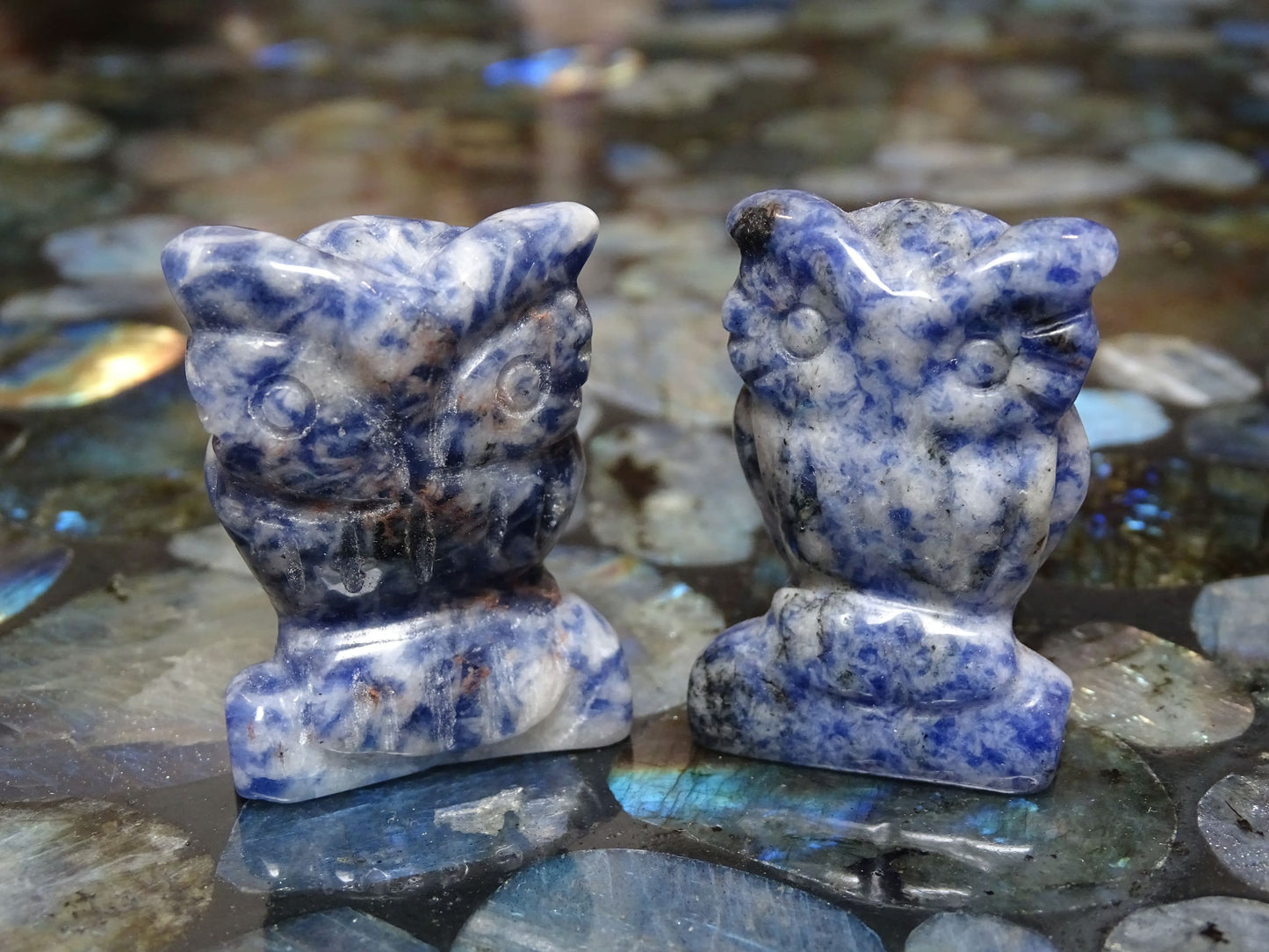Animaux Sodalite Hibou - Pierres - Colibri Minéraux et Bien-être