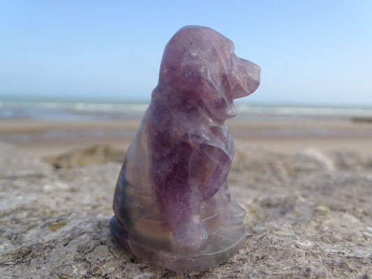 Fluorite Chien type Saint Hubert - Pierres - Colibri Minéraux et Bien-être