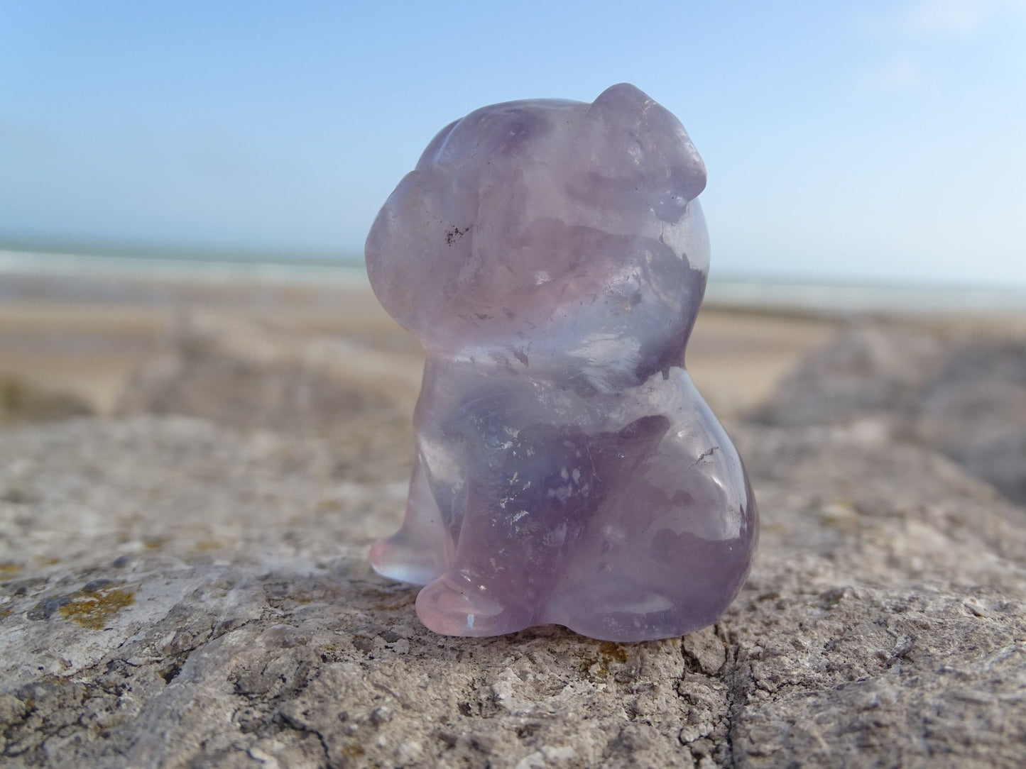 Fluorite Chien type Bouledogue Anglais - Pierres - Colibri Minéraux et Bien-être