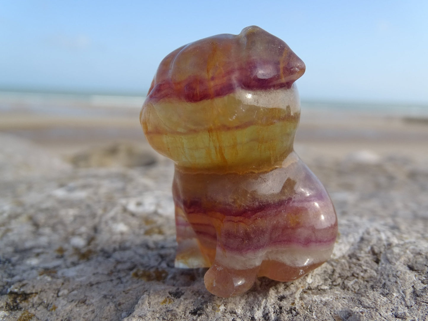 Fluorite Chien type Bouledogue Anglais - Pierres - Colibri Minéraux et Bien-être