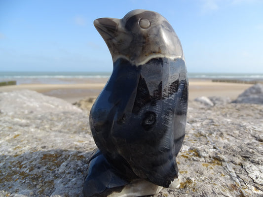 Agate Pingouin - Pierres - Colibri Minéraux et Bien-être