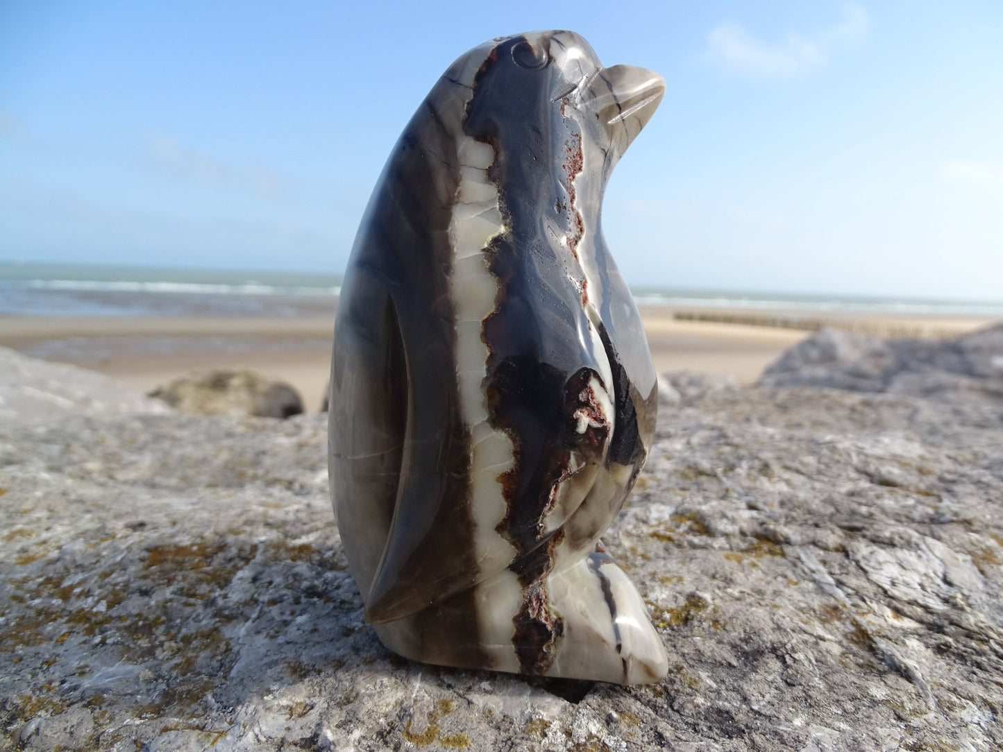 Agate Pingouin - Pierres - Colibri Minéraux et Bien-être