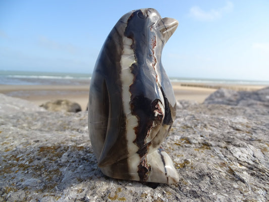 Agate Pingouin - Pierres - Colibri Minéraux et Bien-être