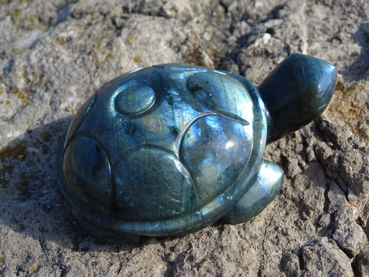 Labradorite Tortue - Pierres - Colibri Minéraux et Bien-être