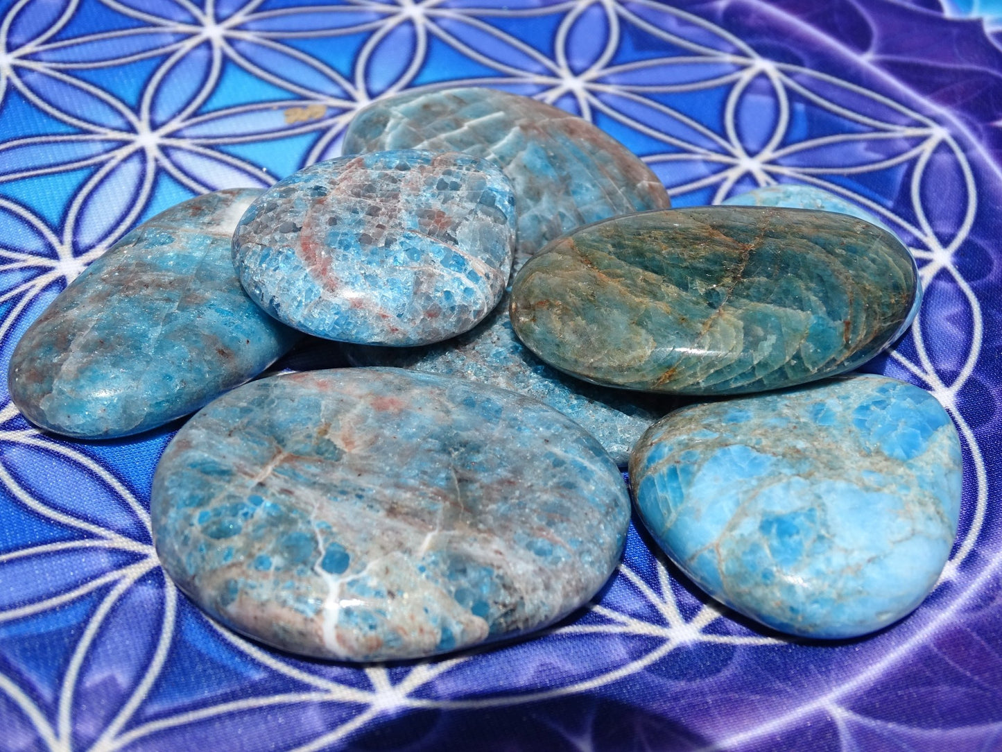 Apatite Bleue Galet Pierre plate