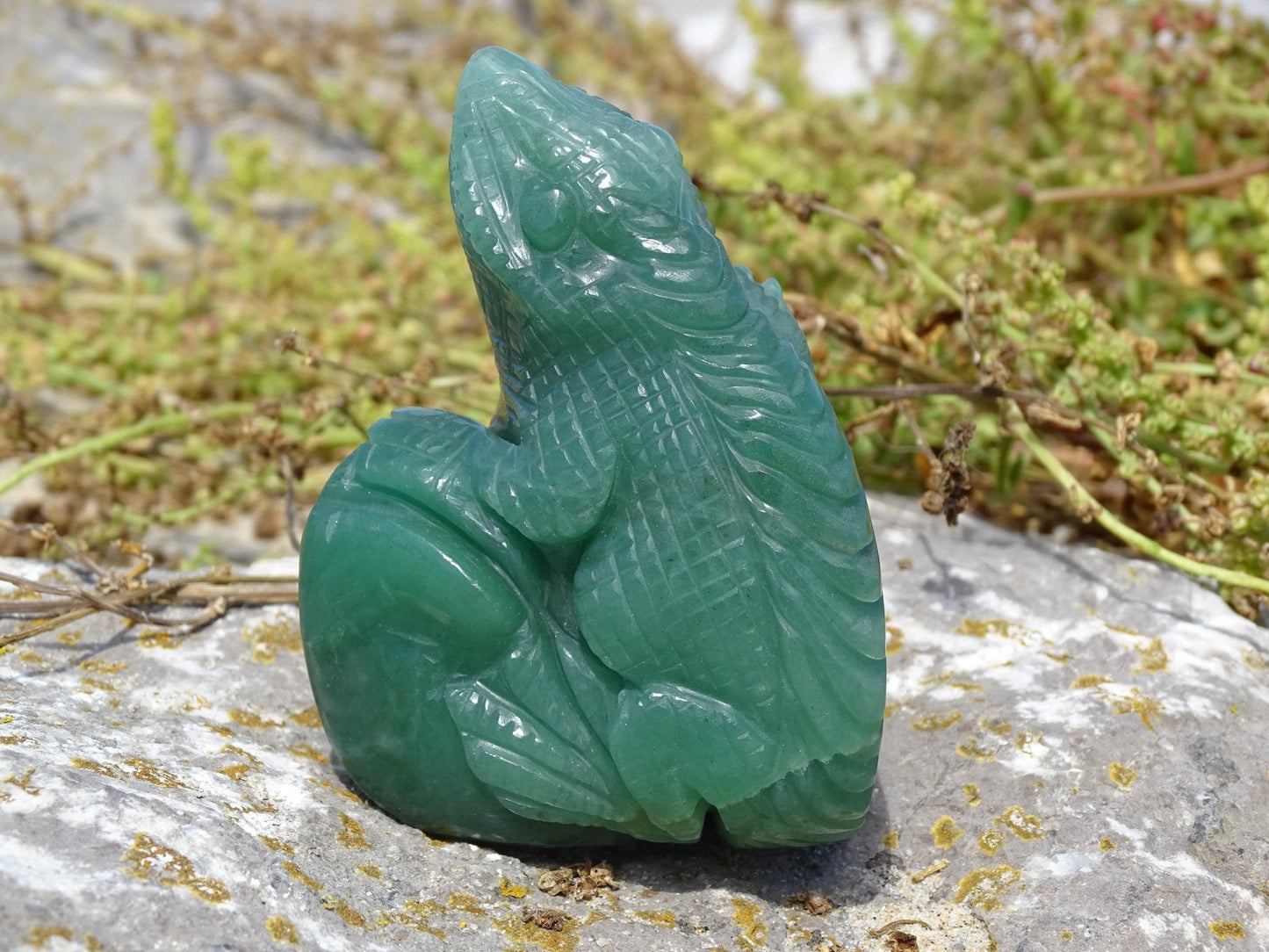 Aventurine Verte Iguane - Pierres - Colibri Minéraux et Bien-être