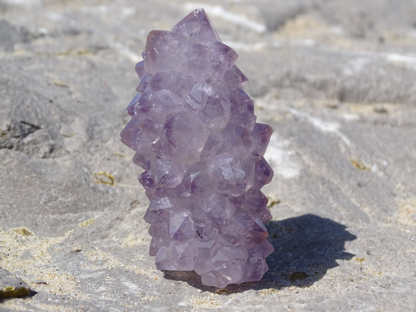 Cactus Amethyst