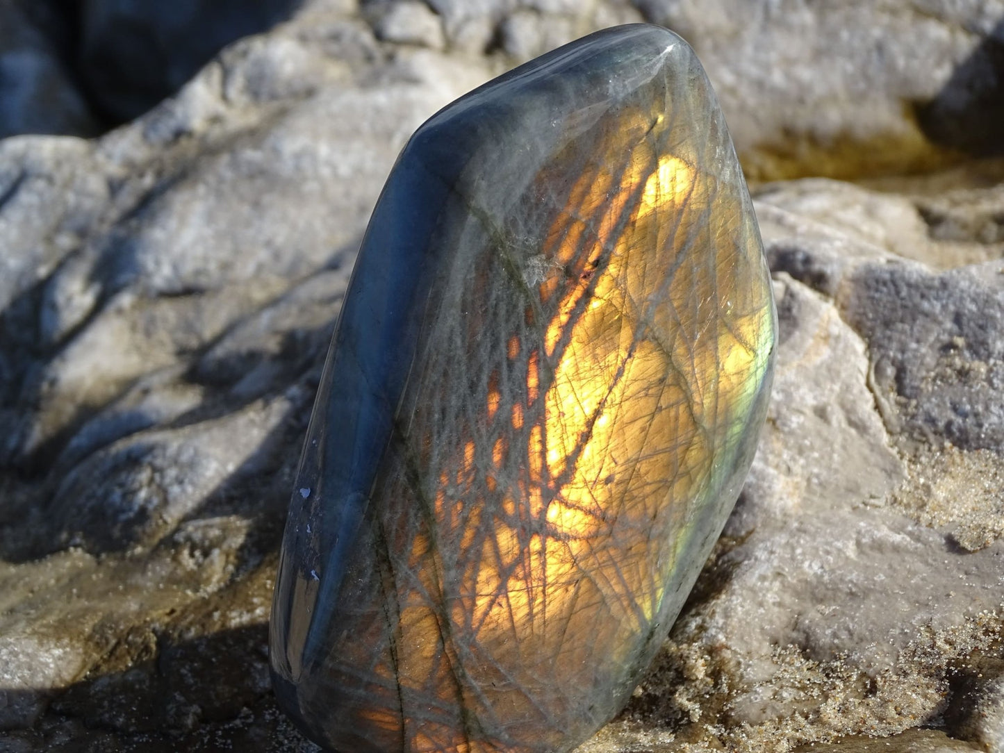 Labradorite Forme Libre - Pierres - Colibri Minéraux et Bien-être