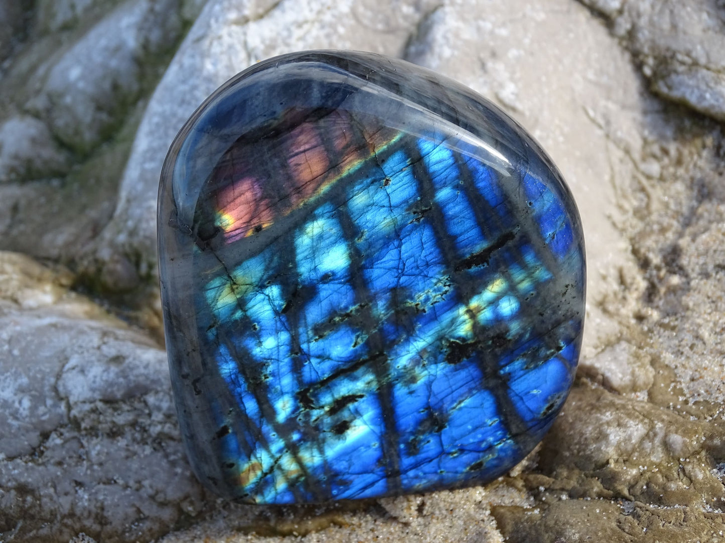 Labradorite Forme Libre - Pierres - Colibri Minéraux et Bien-être