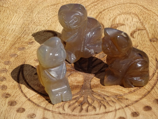 Agate Chat - Pierres - Colibri Minéraux et Bien-être