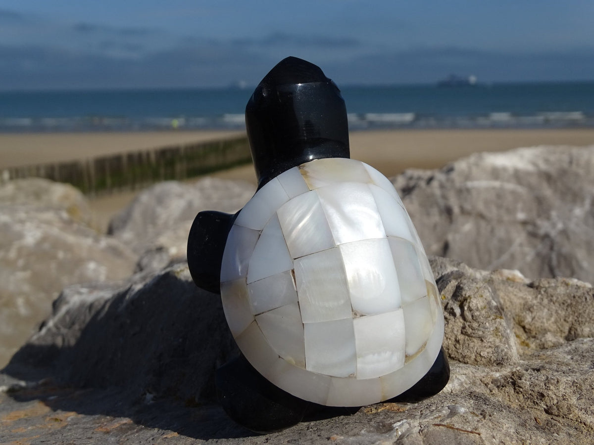 Animaux Obsidienne Noire Tortue Nacre - Pierres - Colibri Minéraux et Bien-être