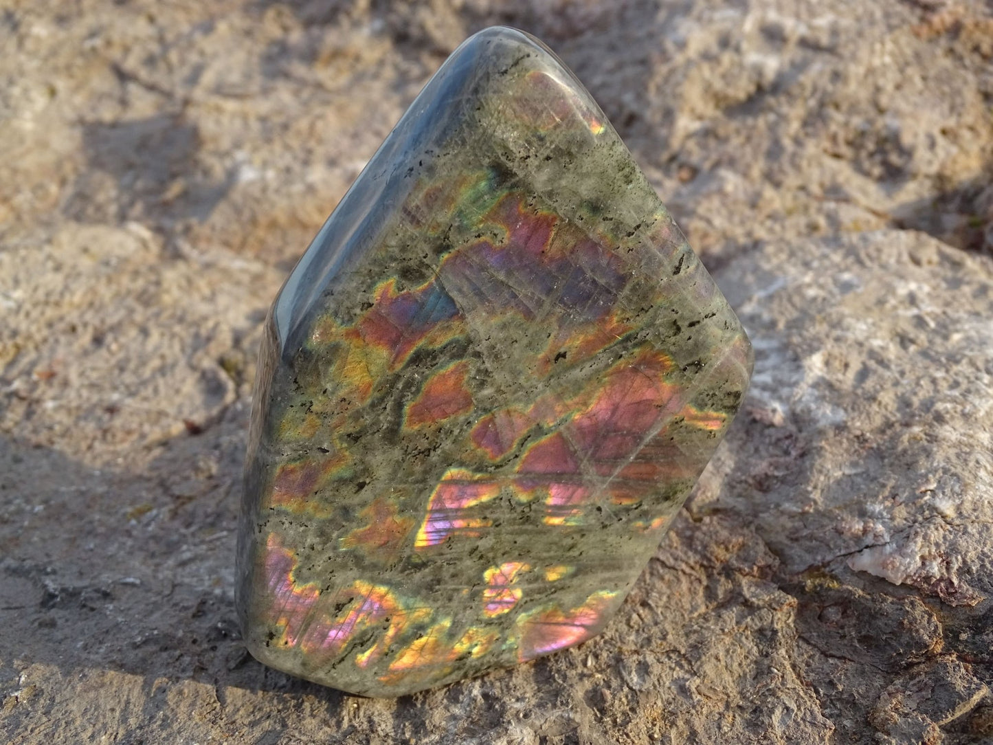 Labradorite Forme Libre - Pierres - Colibri Minéraux et Bien-être
