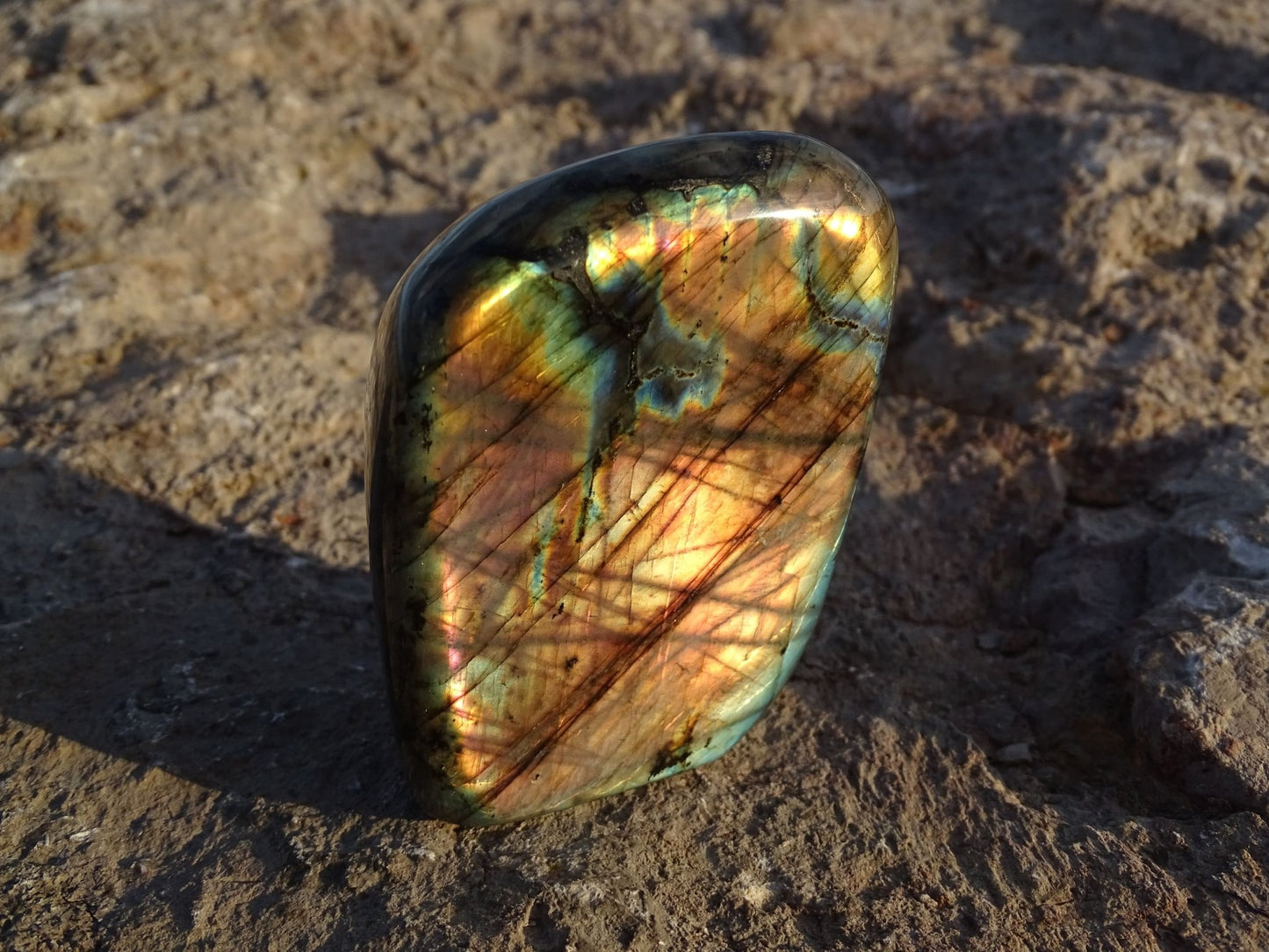Labradorite Forme Libre - Pierres - Colibri Minéraux et Bien-être