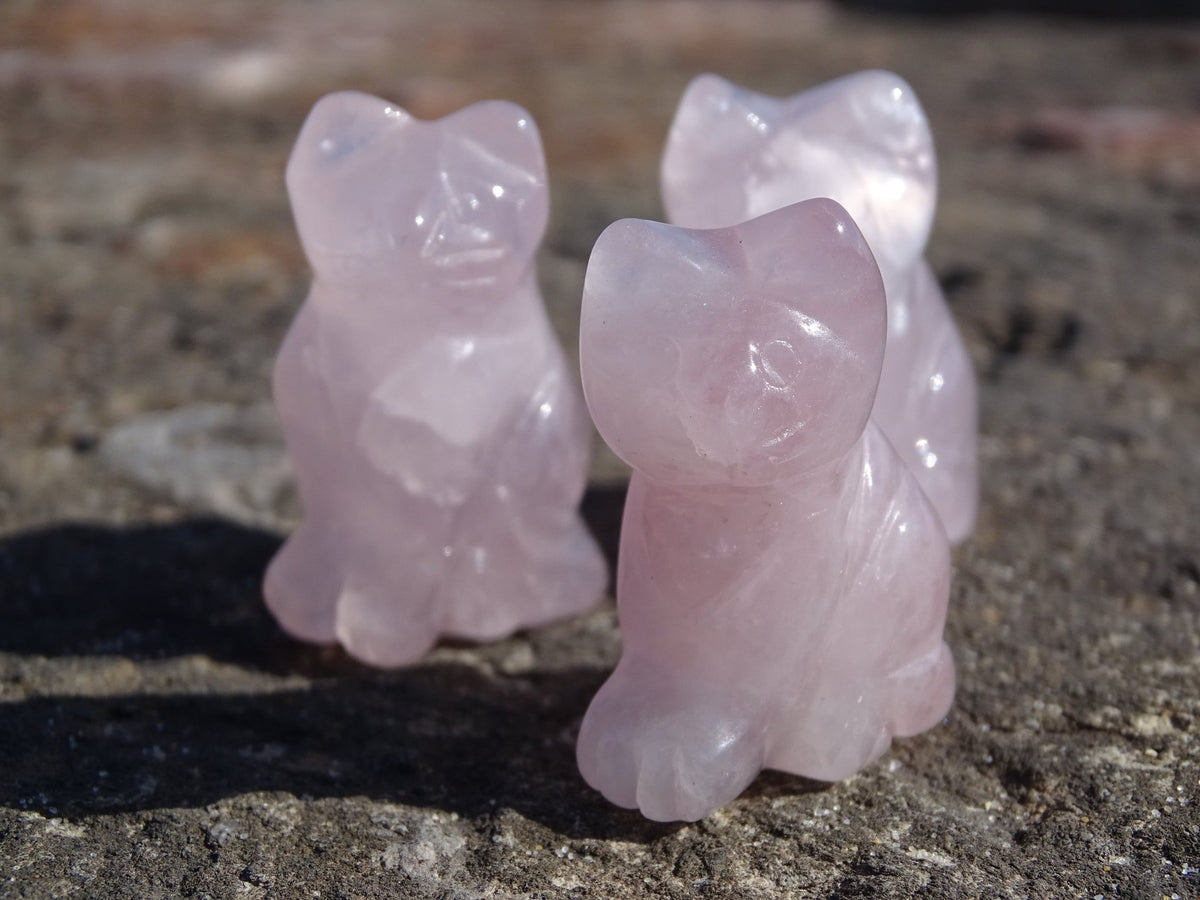 Quartz Rose Chat - Cristaux - Colibri Minéraux et Bien-être