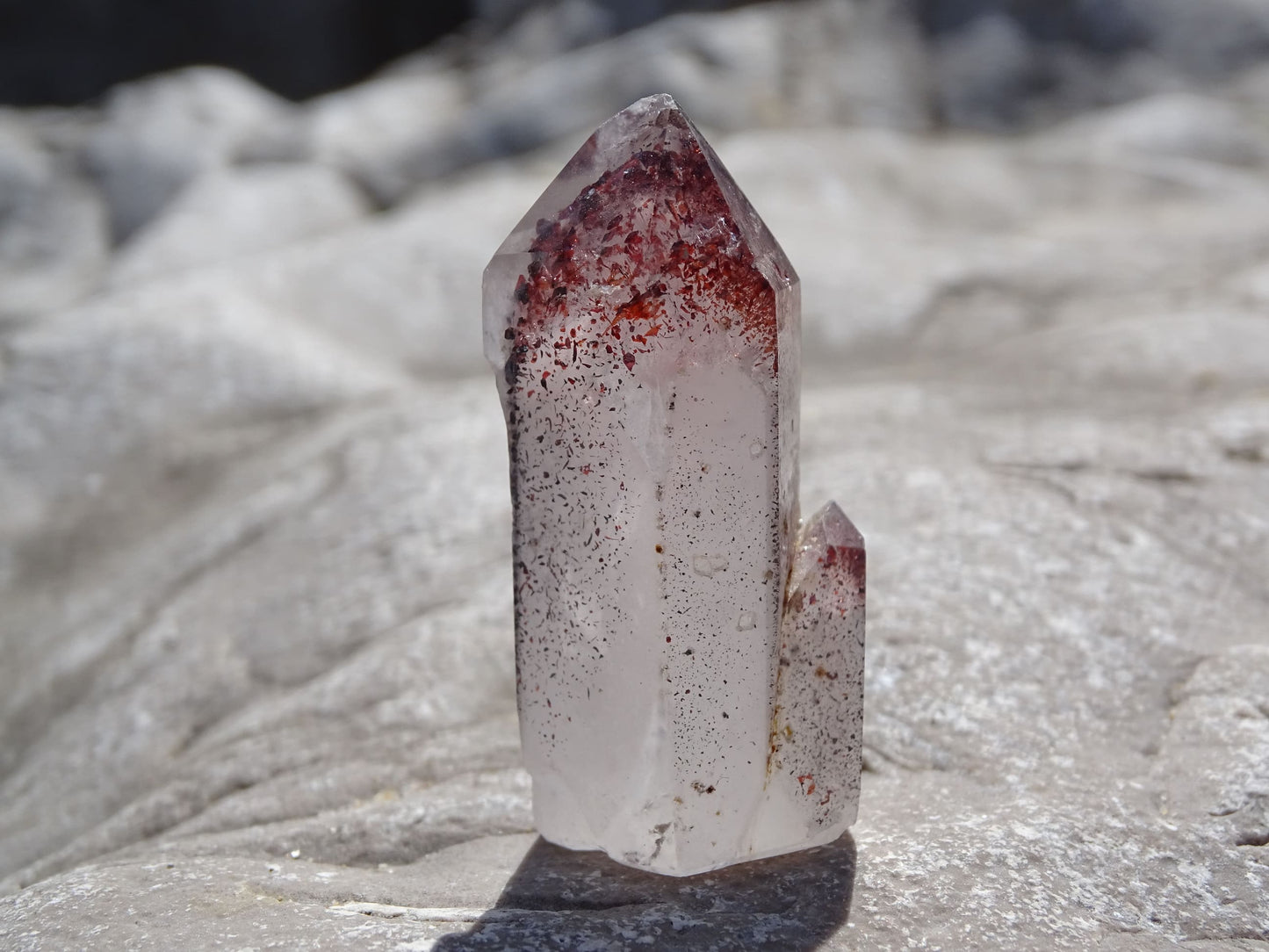 Quartz Arlequin Hématites - Cristaux - Colibri Minéraux et Bien-être