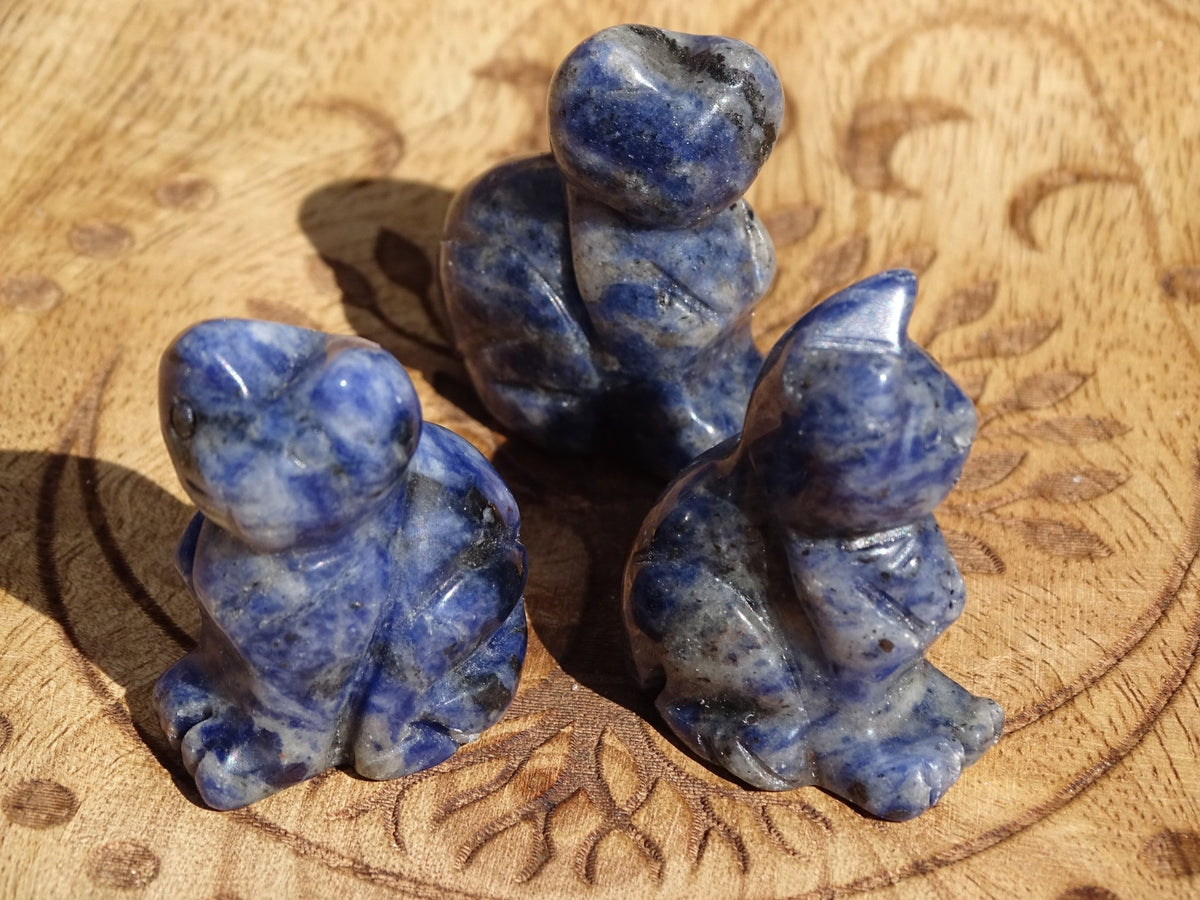 Sodalite Chat - Pierres - Colibri Minéraux et Bien-être
