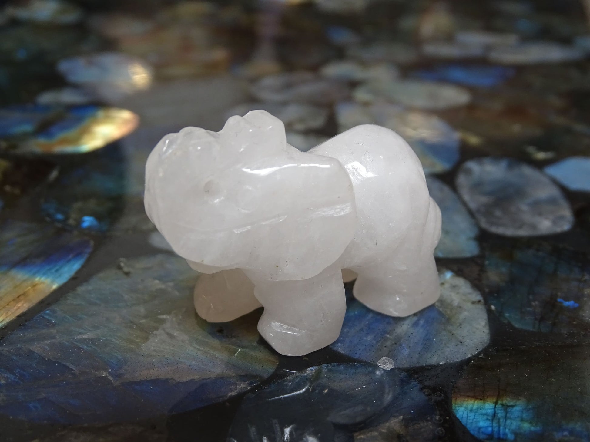 Animaux Quartz Cristal de Roche Eléphant - Cristaux - Colibri Minéraux et Bien-être