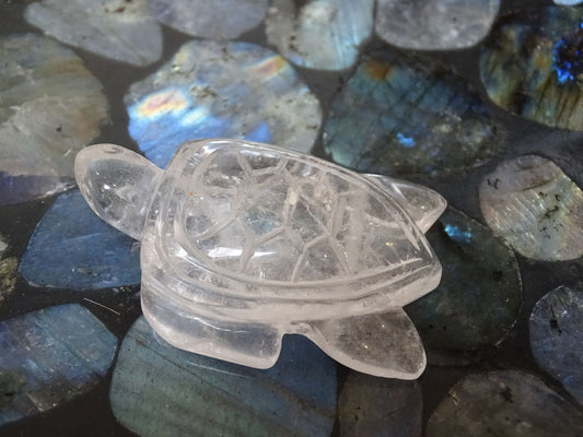 Animaux Quartz Cristal de Roche Tortue - Cristaux - Colibri Minéraux et Bien-être