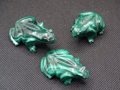 Animaux Malachite Grenouille - Pierres - Colibri Minéraux et Bien-être