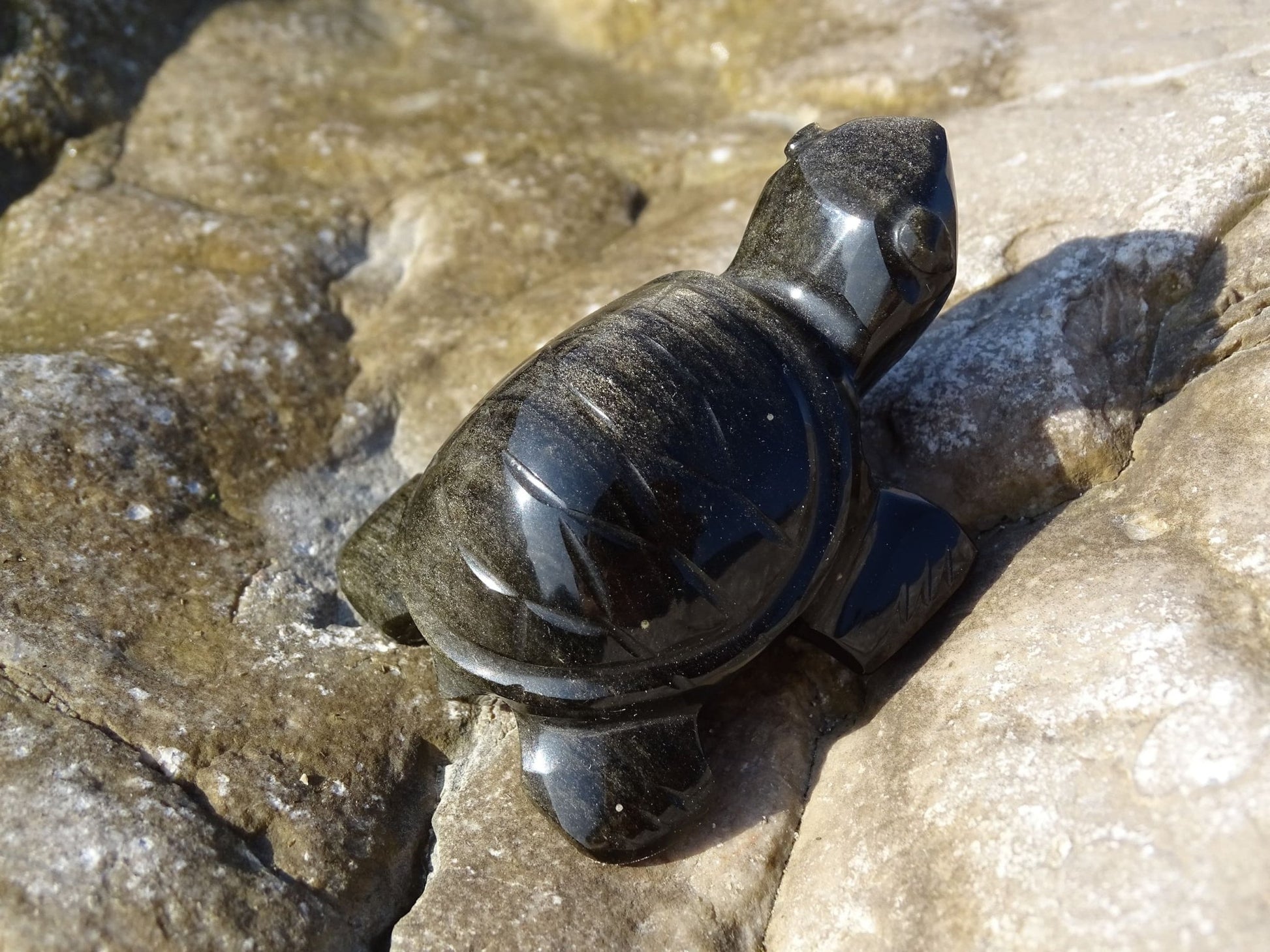 Animaux Obsidienne Dorée Tortue - Pierres - Colibri Minéraux et Bien-être