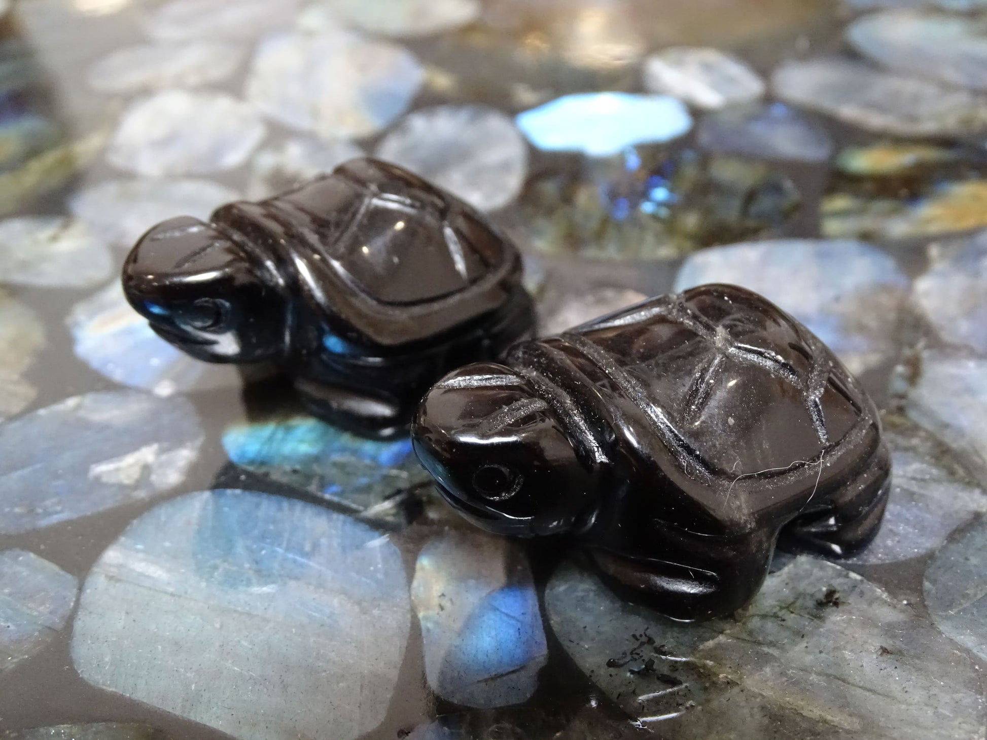 Animaux Obsidienne Noire Tortue - Pierres - Colibri Minéraux et Bien-être