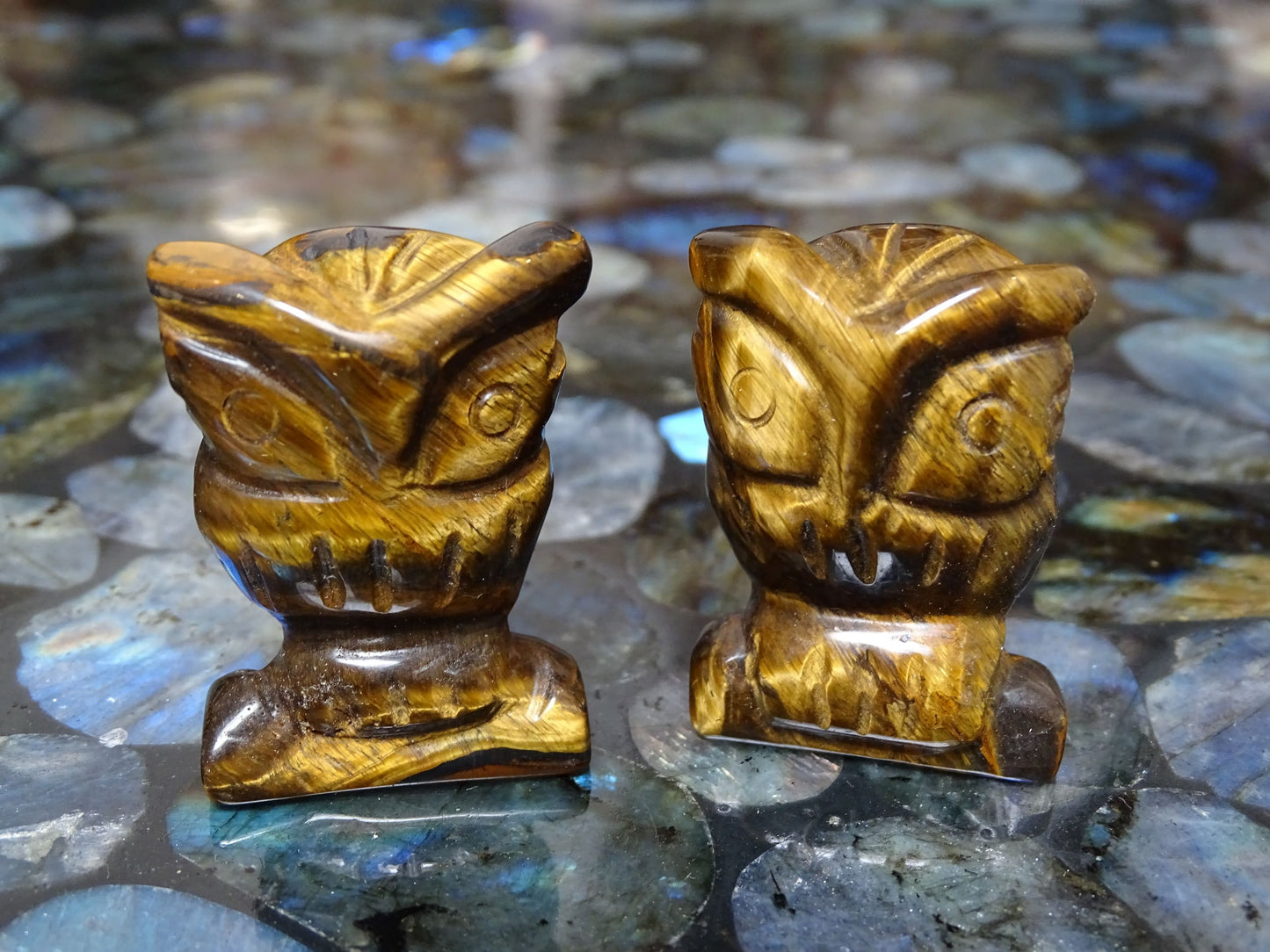 Animaux Oeil de tigre Hibou - Pierres - Colibri Minéraux et Bien-être