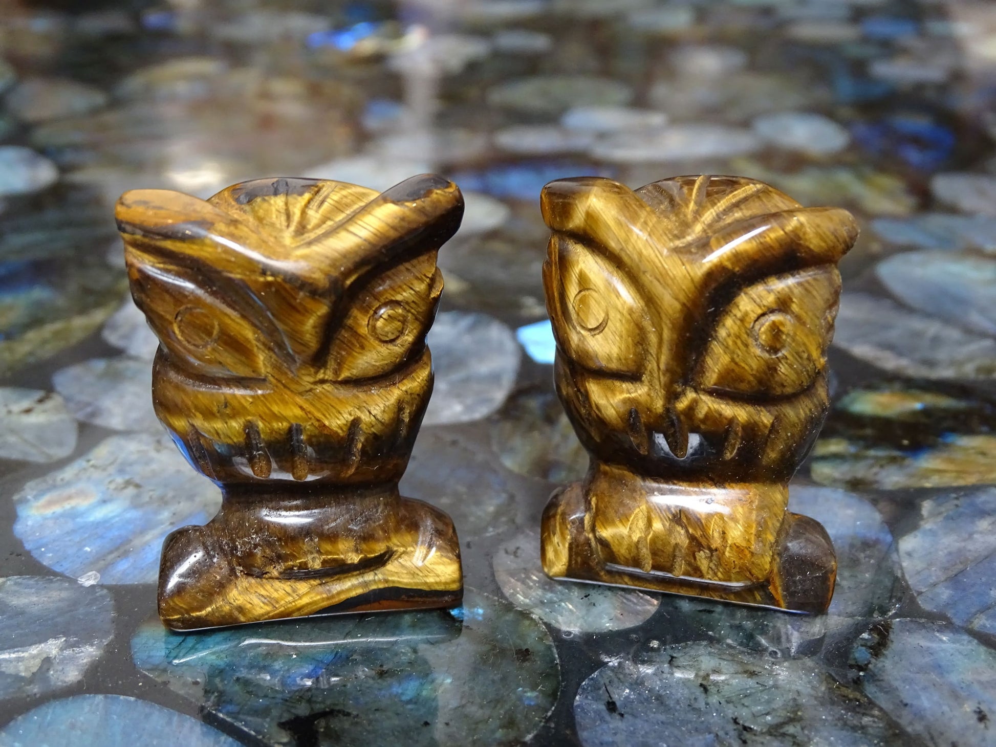 Animaux Oeil de tigre Hibou - Pierres - Colibri Minéraux et Bien-être
