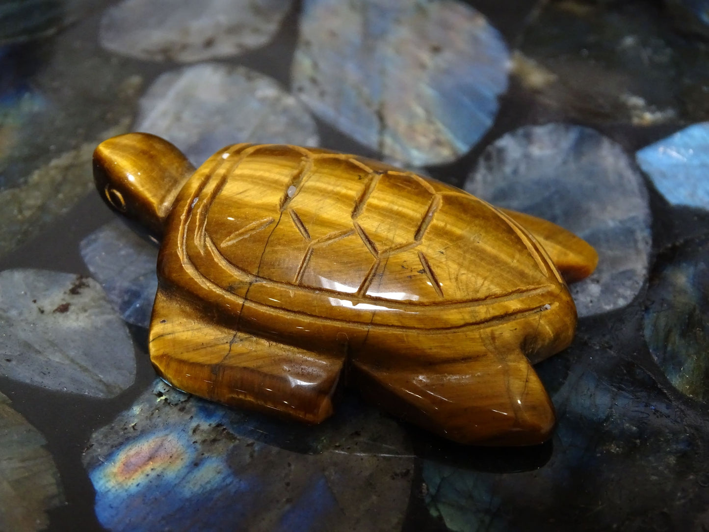 Animaux Oeil de tigre Tortue - Pierres - Colibri Minéraux et Bien-être