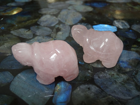 Animaux Quartz Rose Tortue - Cristaux - Colibri Minéraux et Bien-être