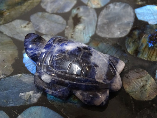 Animaux Sodalite Tortue - Pierres - Colibri Minéraux et Bien-être