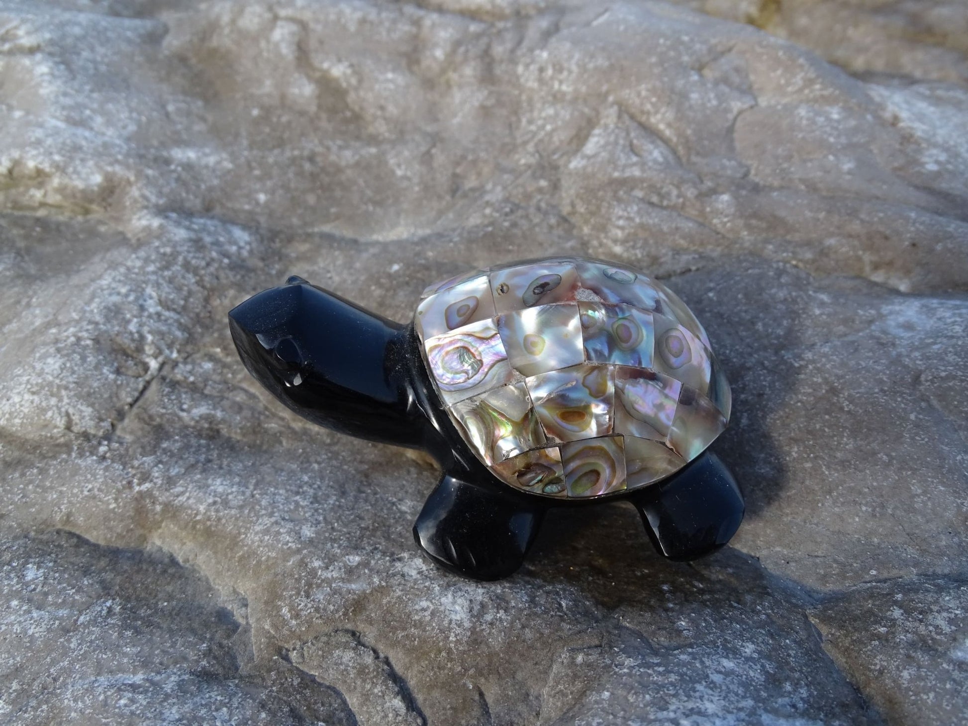 Animaux Obsidienne Noire Tortue Abalone - Pierres - Colibri Minéraux et Bien-être