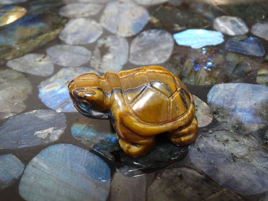 Animaux Oeil de tigre Tortue - Pierres - Colibri Minéraux et Bien-être