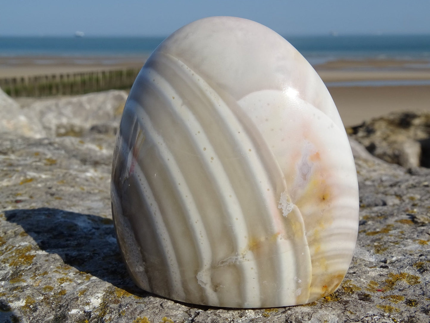 Agate Forme Libre - Pierres - Colibri Minéraux et Bien-être