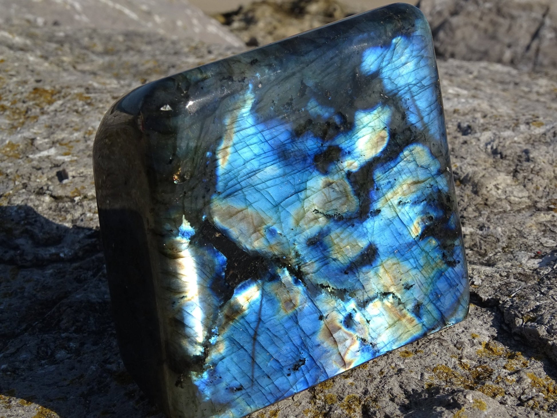 Labradorite Forme Libre - Pierres - Colibri Minéraux et Bien-être