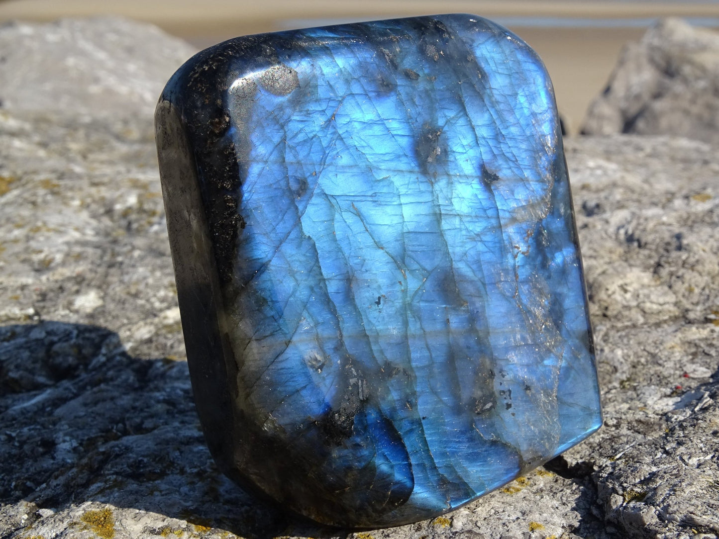 Labradorite Forme Libre - Pierres - Colibri Minéraux et Bien-être