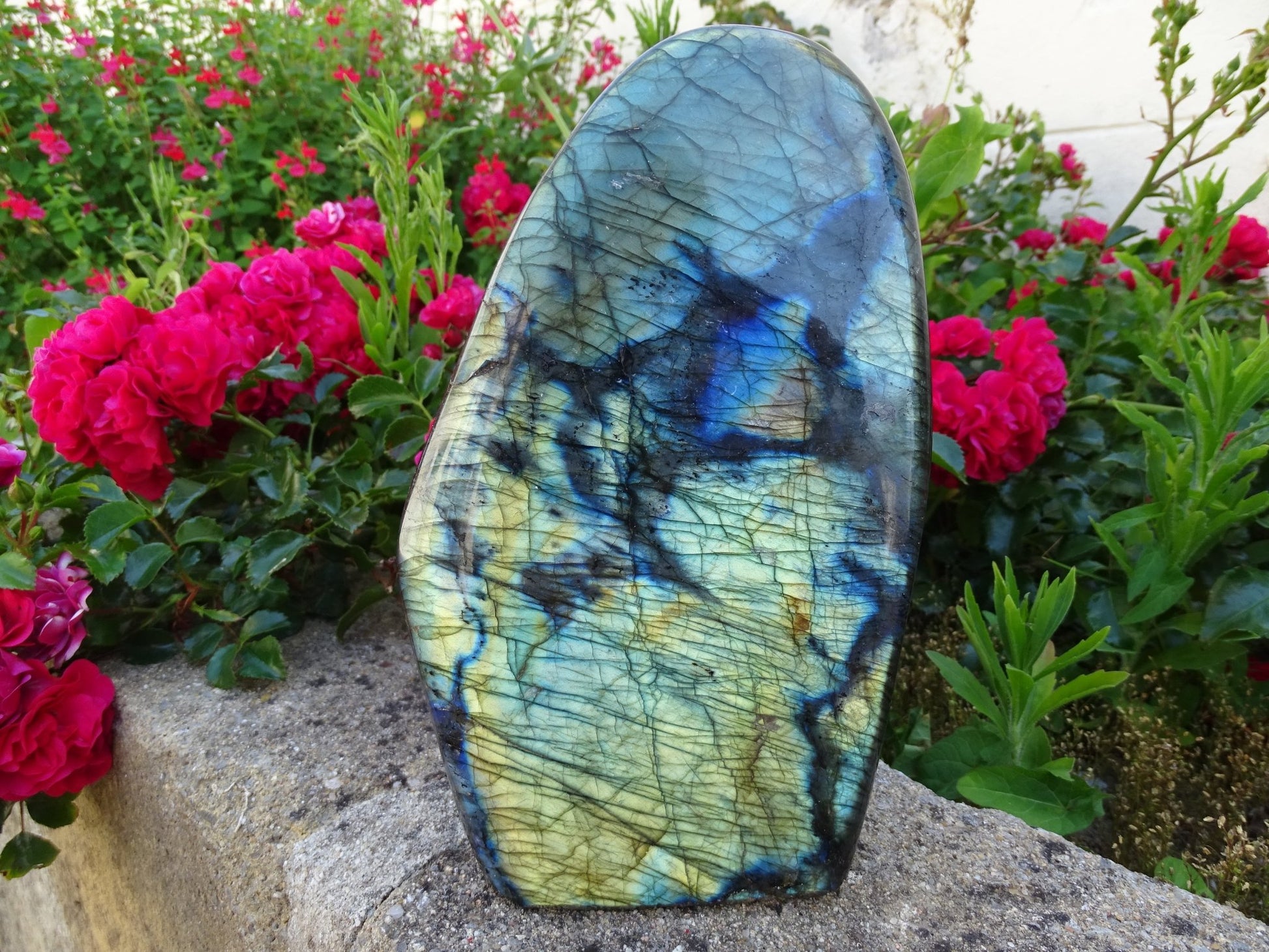 Labradorite Forme Libre - Pierres - Colibri Minéraux et Bien-être