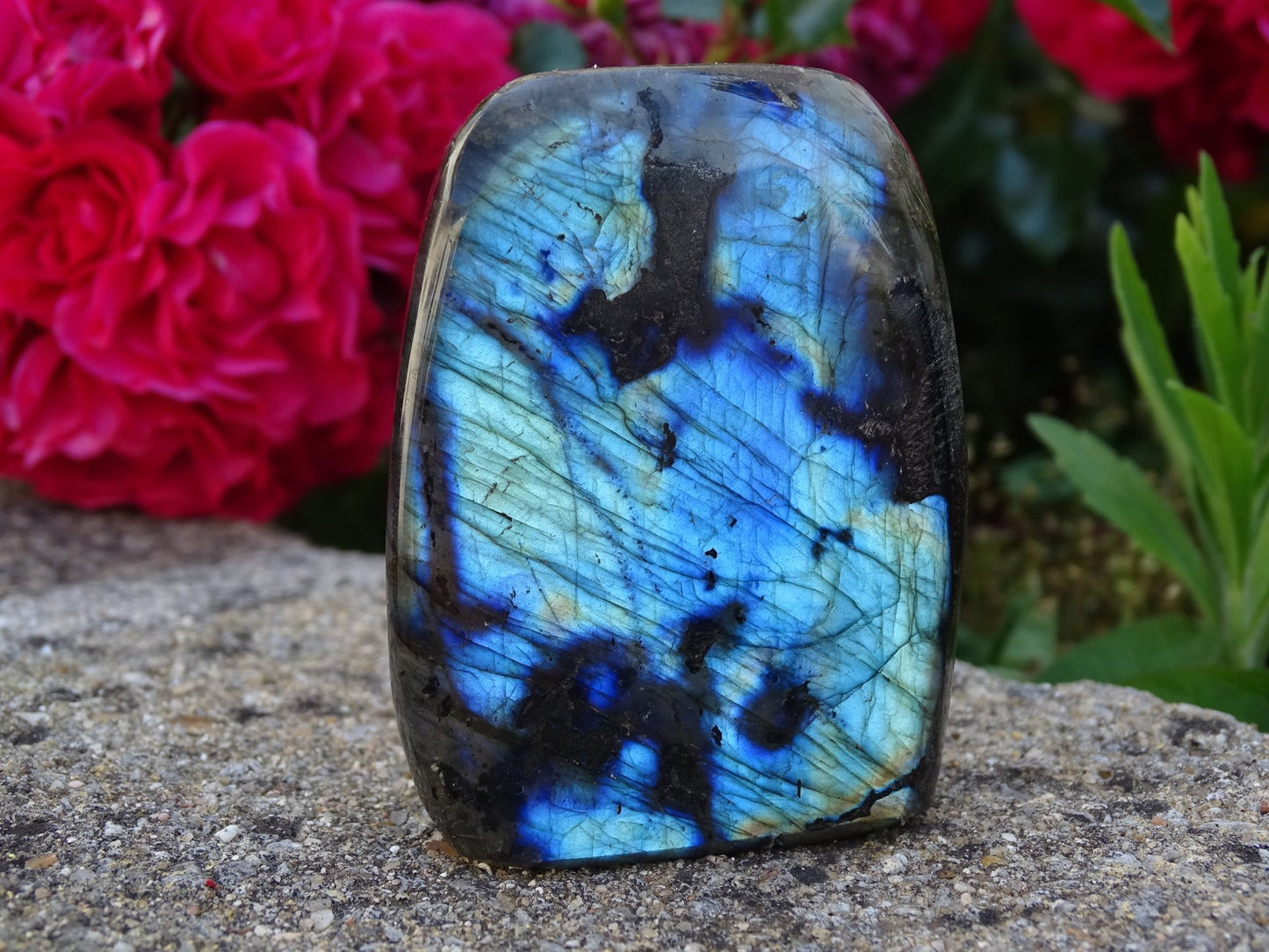 Labradorite Forme Libre - Pierres - Colibri Minéraux et Bien-être