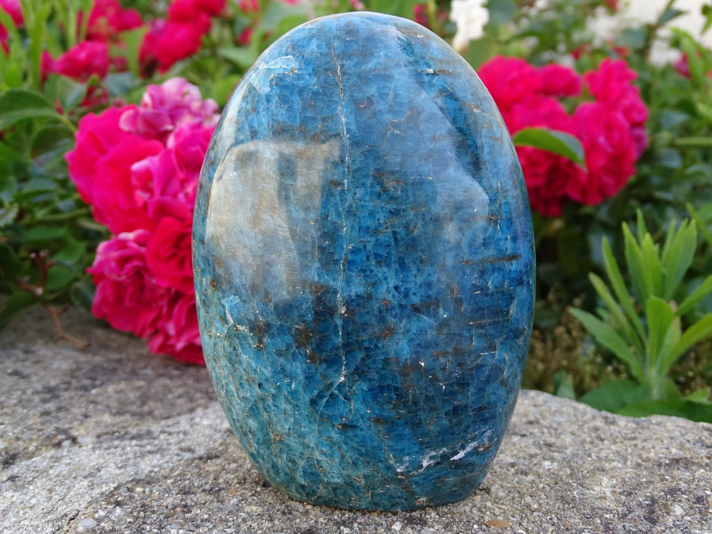 Apatite Bleue - Pierres - Colibri Minéraux et Bien-être