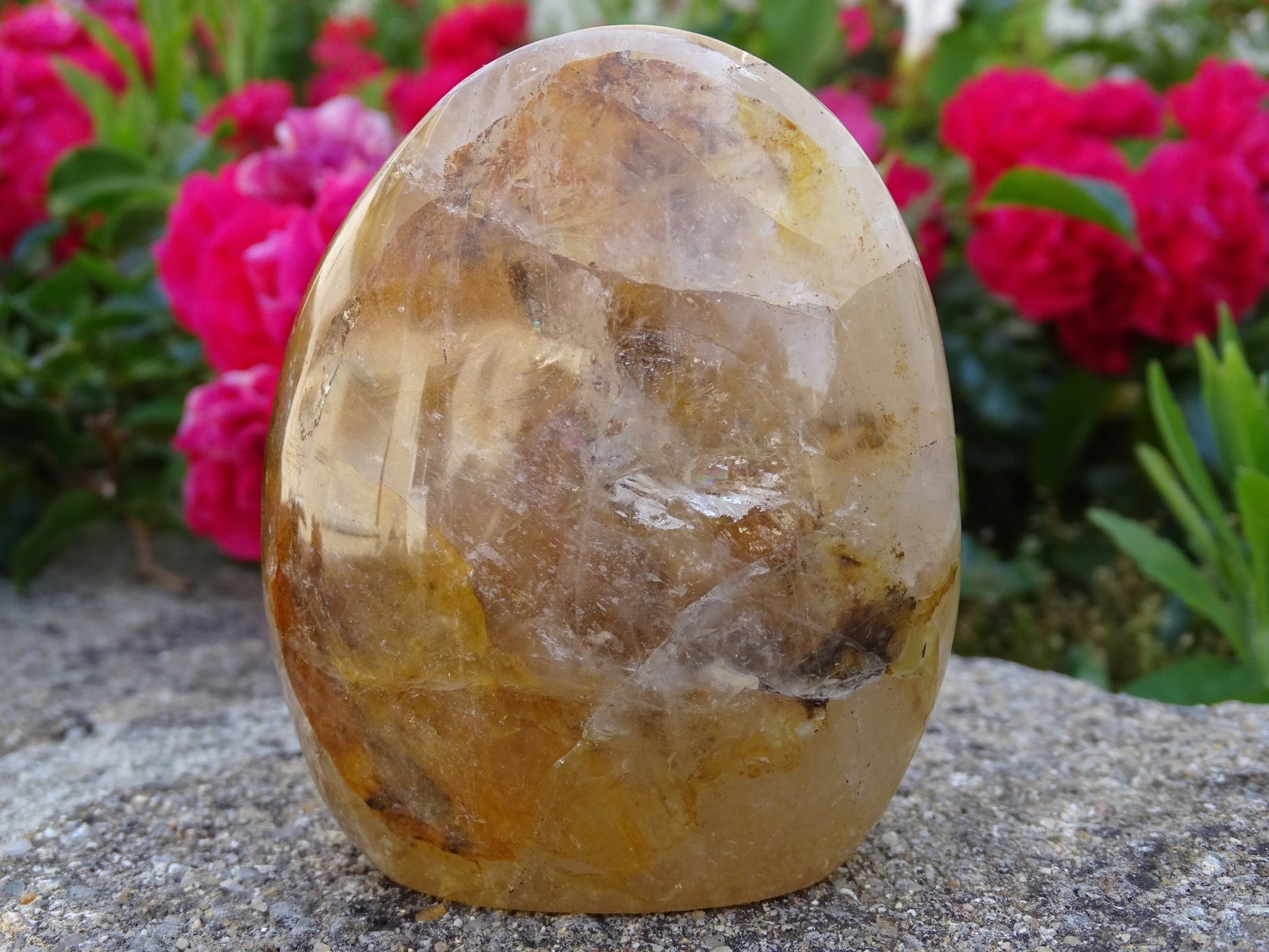 Quartz Hématoïde Doré - Cristaux - Colibri Minéraux et Bien-être