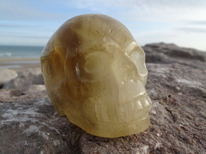 Crâne en Quartz Hématoïde Doré