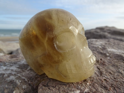 Crâne en Quartz Hématoïde Doré