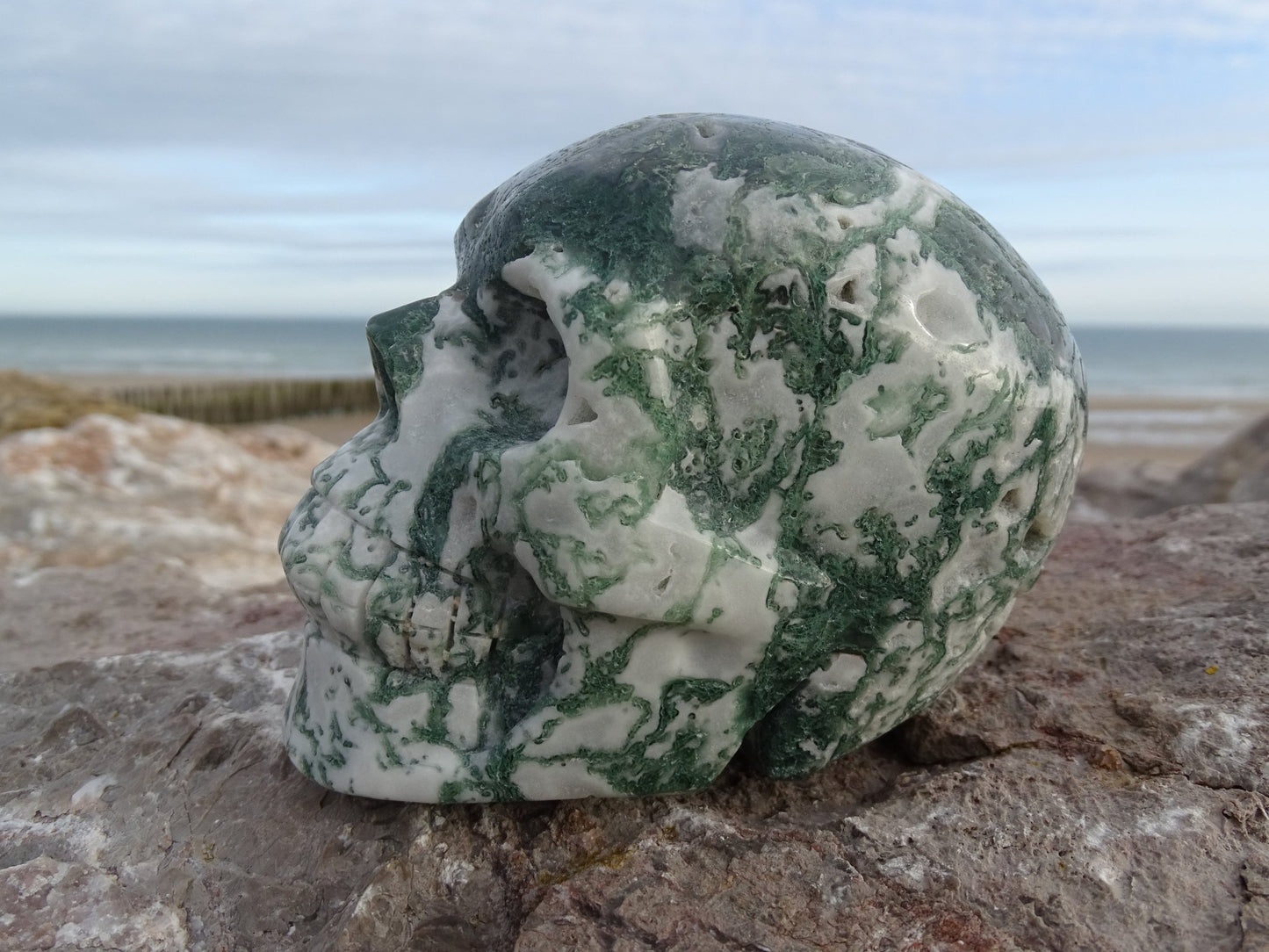 Crâne en Agate Arbre