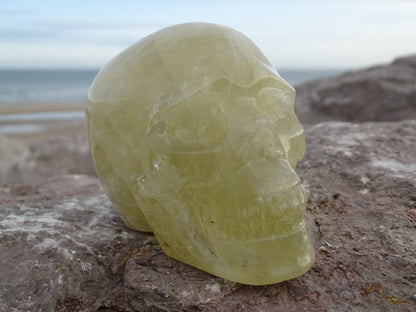 Crâne en Quartz Hématoïde Doré