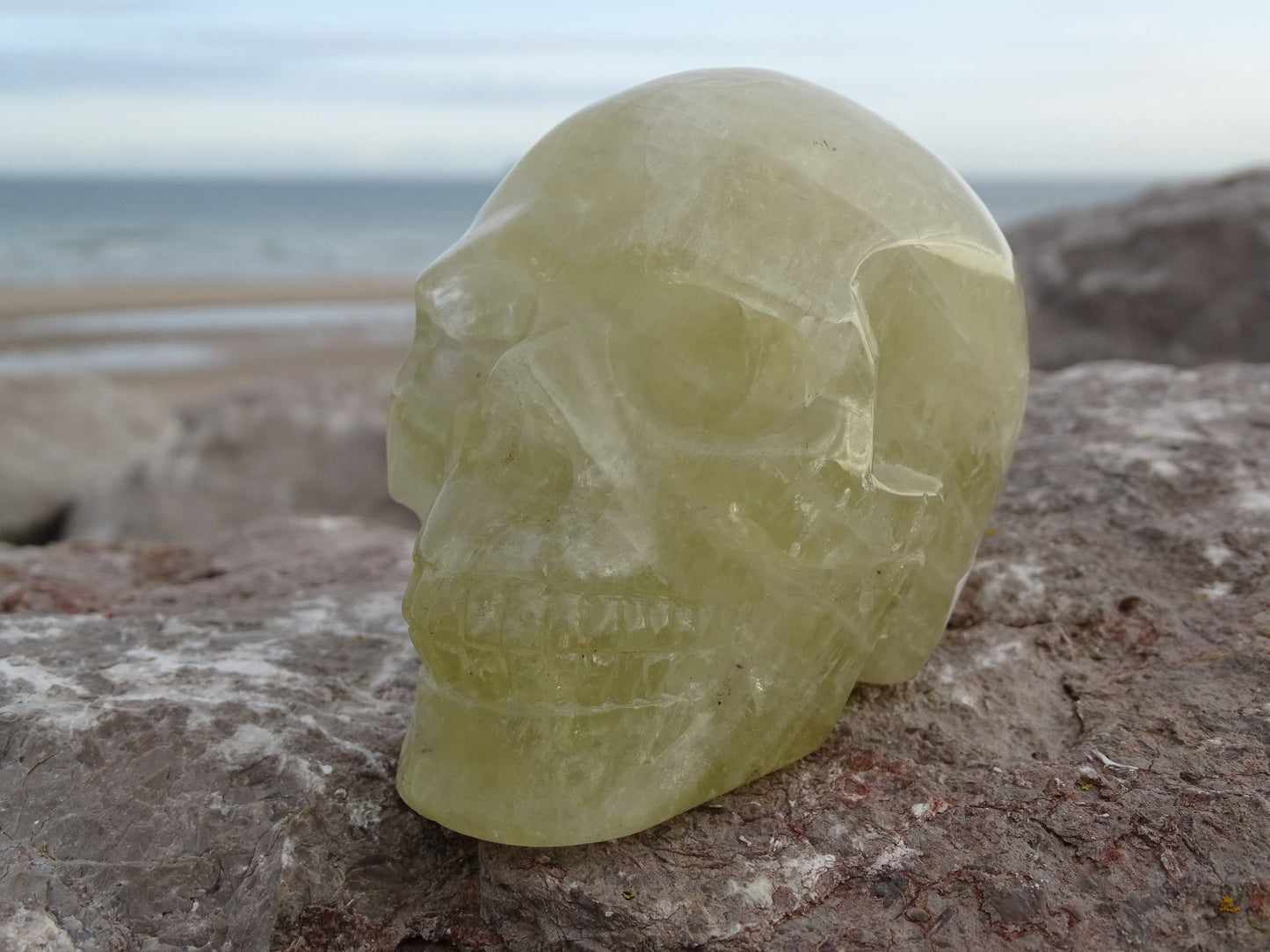 Crâne en Quartz Hématoïde Doré