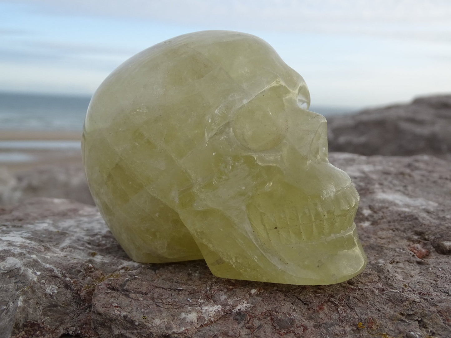 Crâne en Quartz Hématoïde Doré