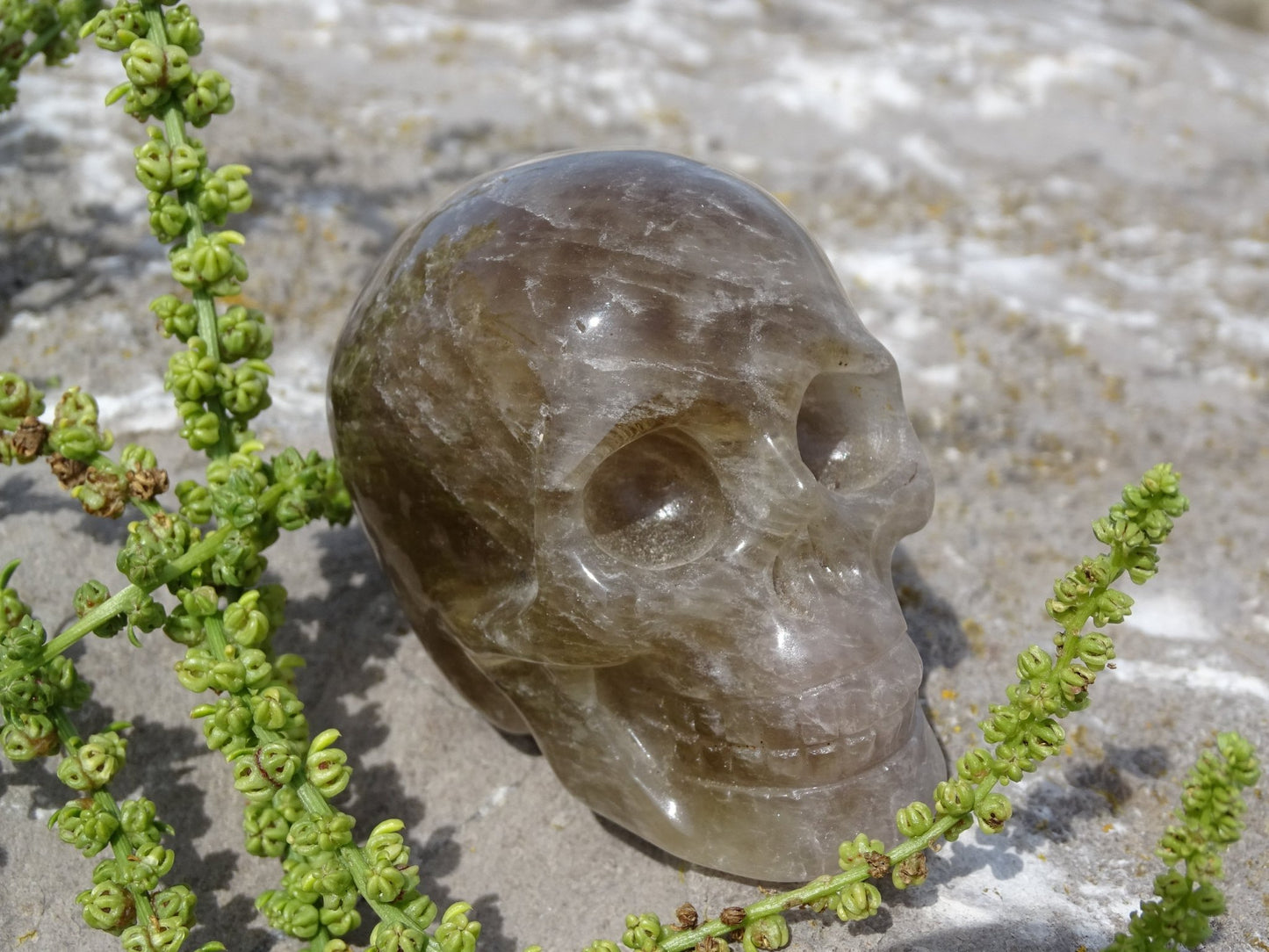 Crâne en Quartz Hématoïde
