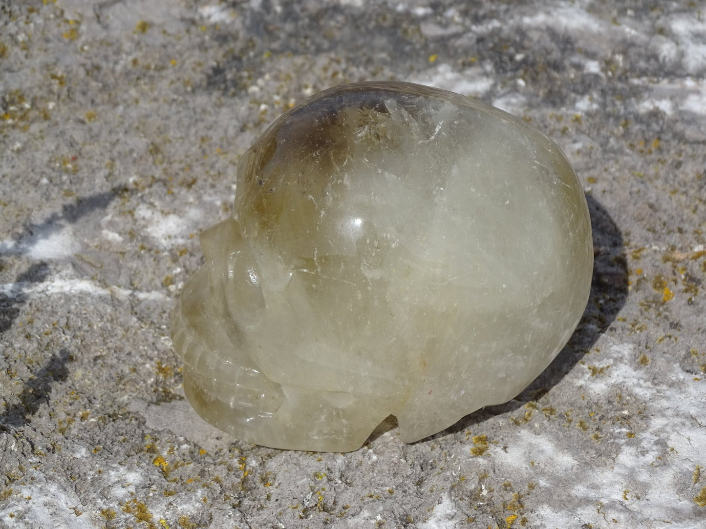 Crâne en Quartz Hématoïde Doré